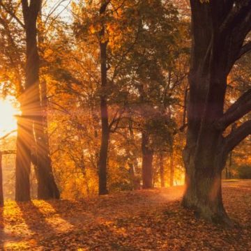 Début de l&rsquo;automne météorologique dans l&rsquo;hémisphère Nord