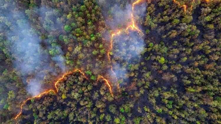446d6768-b8d7-4bcf-9d89-37ed91287221 Un partenariat spatial pour améliorer la détection des feux de forêt