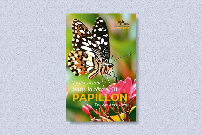 51dcf1ea-f936-40f2-92f0-e68d6dea9ad5 Les secrets fascinants des papillons révélés par Violaine Llaurens