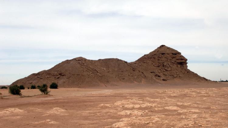 5c03ee80-1441-49c3-961a-2cba7469250d Lutte contre le narcotrafic en Algérie : des mesures renforcées