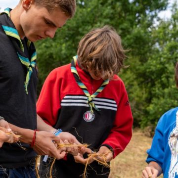 Le renouveau du scoutisme en France