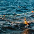 La ministre de la mer promet des changements dans les règles européennes de pêche