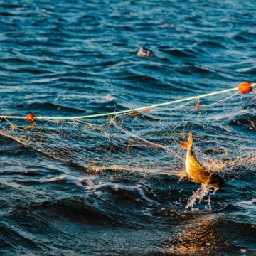 La ministre de la mer promet des changements dans les règles européennes de pêche