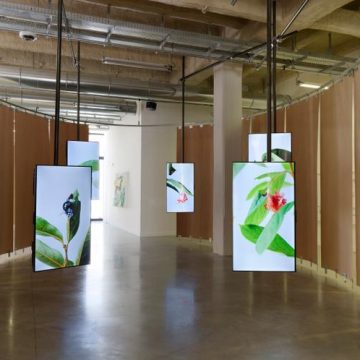 Exposition à Cognac : L&rsquo;interaction entre l&rsquo;homme et son environnement