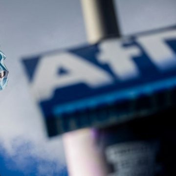 Les Parallèles entre le Rassemblement national et l&rsquo;AfD