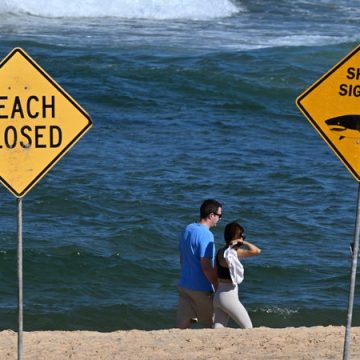 Une attaque de requin en Australie entraîne la fermeture d&rsquo;une plage