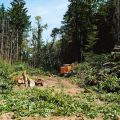 Manifestation contre le projet autoroutier de l&rsquo;A412 en Haute-Savoie