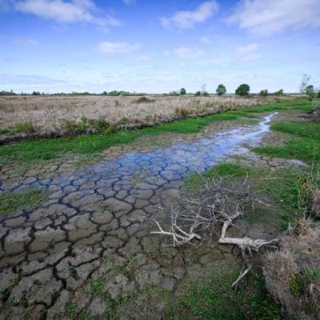 La sécheresse atteint des niveaux records en France