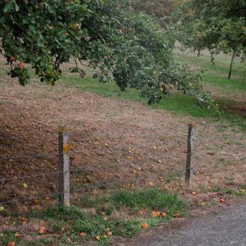 9c940a68-9d08-46ba-a62b-01a47c2a2f54 La sécheresse de 2026 et la gestion de l’eau en France