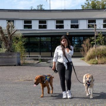 Le gouvernement néerlandais présente ses excuses pour le placement d&rsquo;enfants dans des institutions fermées
