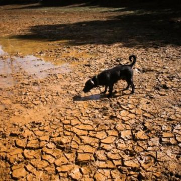 El Niño 2027 et ses impacts mondiaux