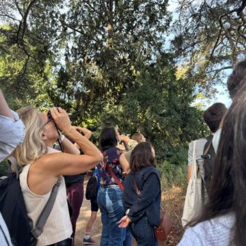 Festival du Monde : Découverte de la Biodiversité Aviaire à Paris