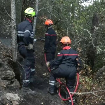 ac6a73af-e940-4860-99fa-af54d8ab8b50 Interdiction de la chasse dans les zones incendiées du Var