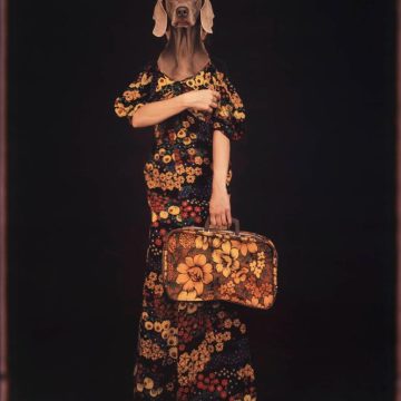 Expositions d&rsquo;Automne en Art Contemporain et Photographie