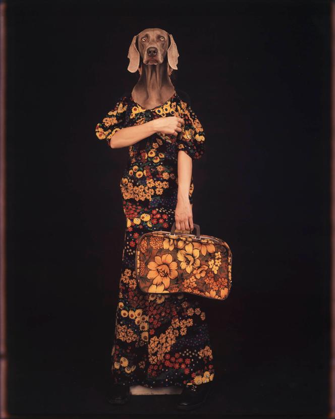 b0e2acae-a545-42ad-8ac0-fc86dbd116d2 Expositions d’Automne en Art Contemporain et Photographie