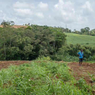 Les agriculteurs martiniquais en difficulté face à la sécheresse