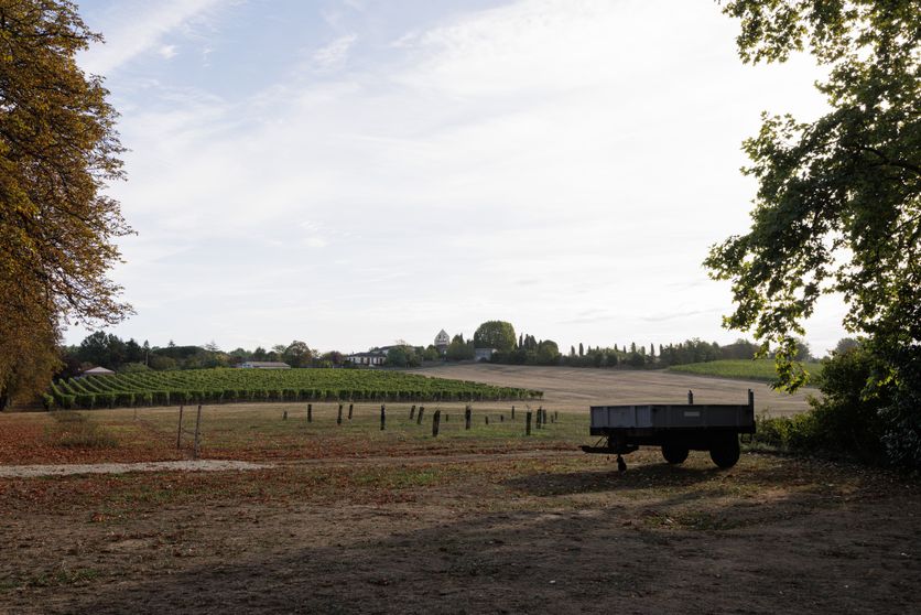 d9e2a883-7400-4988-b4c5-478144bb0a8a Le vignoble bordelais face aux défis climatiques