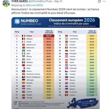 Scepticisme autour du classement Numbeo et l’indice de criminalité en France