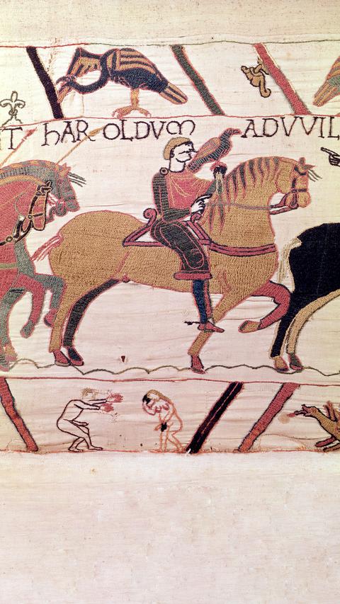 df597829-c6e2-4ab5-b2ac-49c978f8d914 La tapisserie de Bayeux: une vision du virilisme médiéval