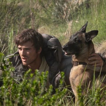 Les chiens au cinéma façonnent une nouvelle masculinité