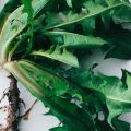 Nourrir son corps avec des plats adaptés aux sportifs