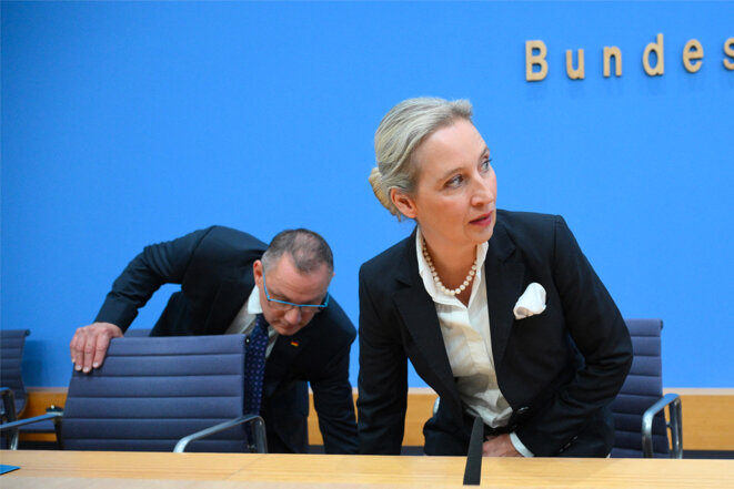 eaf34ccf-6796-45e7-b956-20d9f63ebc55 L’AfD en Allemagne et son Offensive Contre les Questions de Genre