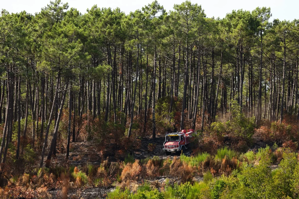eef162c5-c218-4856-ba8f-4a140209cdeb Les Incendies d’Été en Gironde : Un Coup Dur pour la Recherche Scientifique