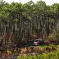 Les Incendies d&rsquo;Été en Gironde : Un Coup Dur pour la Recherche Scientifique