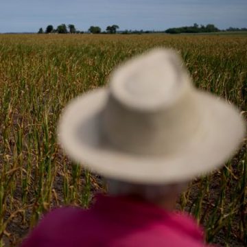 ef677115-023f-4462-9036-475a43614284 Pampa : Un voyage littéraire à travers la pampa argentine