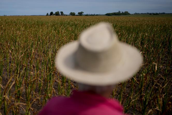 ef677115-023f-4462-9036-475a43614284 Pampa : Un voyage littéraire à travers la pampa argentine