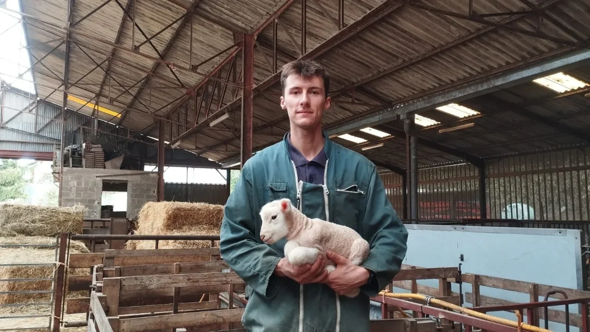 La restauration de la briqueterie du Vertin