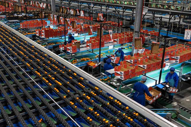 01fe12ff-1eb4-460d-a0ac-d4e2214abace La Banque mondiale rehausse ses prévisions de croissance pour l’Afrique subsaharienne