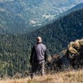 Transhumance et tourisme dans les Vosges