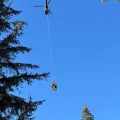 Des brebis de Christelle Guignard hélitreuillées après une attaque de loups