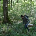 Saison des champignons : recommandations suite à de nombreuses intoxications en France