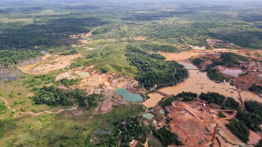 Flyover over the Amazon Présidentielle 2026 au Brésil : Enjeux environnementaux et politiques