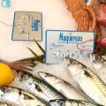 Techniques de pêche : entre histoire et pratique