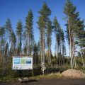 L&rsquo;arrêt des projets de centres de données de Google en Finlande