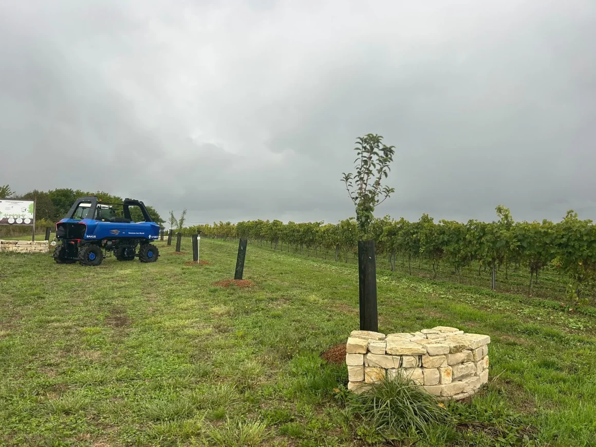 La maison de cognac Martell s&rsquo;adapte aux aléas climatiques avec la viticulture régénératrice