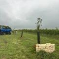 La maison de cognac Martell s&rsquo;adapte aux aléas climatiques avec la viticulture régénératrice