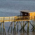 Lancement des candidatures pour l&rsquo;exploitation des pontons de pêche au carrelet en Charente-Maritime