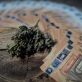 Blanchiment d&rsquo;argent et ses connexions inquiétantes