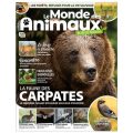 Le cycle de vie des guêpes en automne et hiver