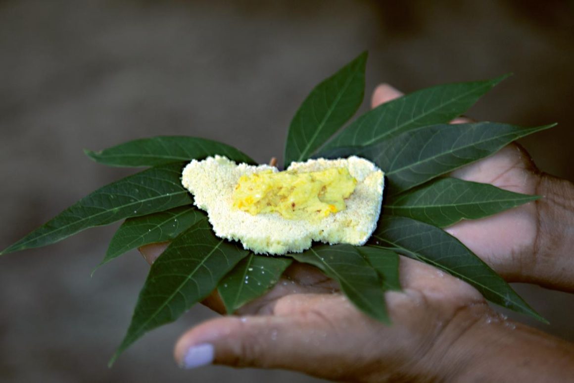 Un atlas alimentaire pour préserver les recettes et traditions de l&rsquo;Amazonie