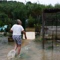 Crues et inondations en France : un bilan dramatique et de nombreux dégâts