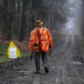 La Coexistence Tendue entre Chasseurs et Sportifs en Forêt