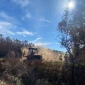 Gestion des forêts après les incendies : un défi urgent