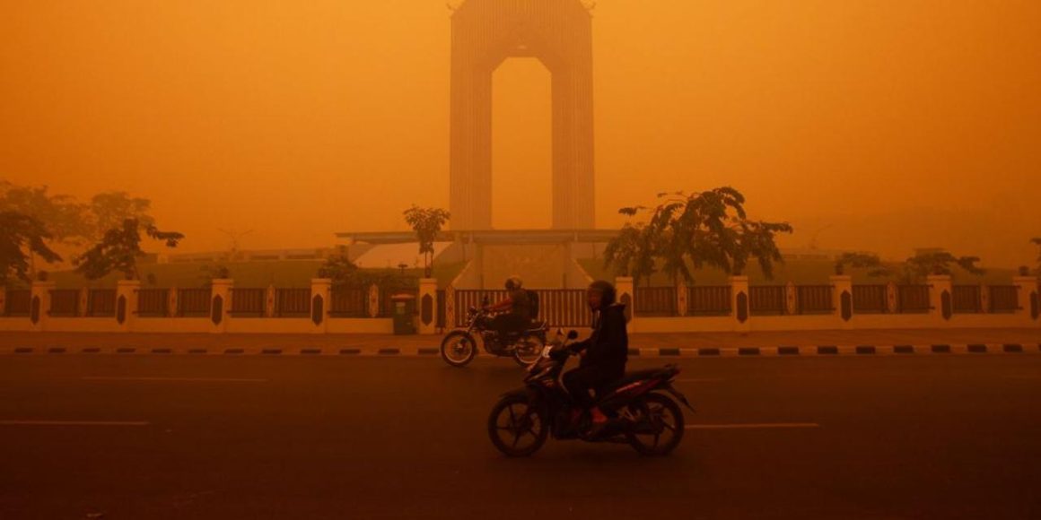 ec45d74e-025d-4327-872e-d693b5b047cd Incendies en Indonésie : une crise sanitaire sous influence humaine et climatique